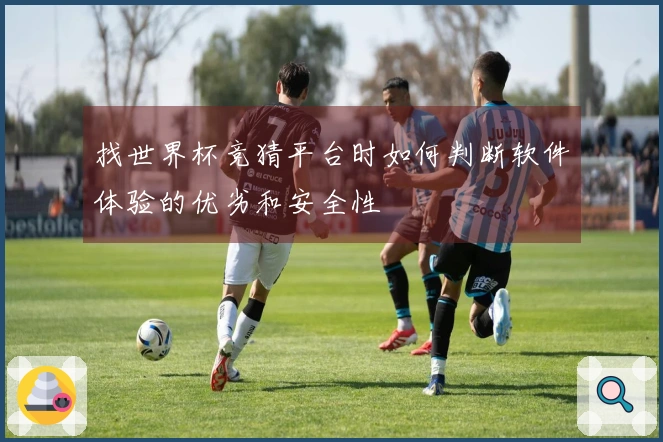 找世界杯竞猜平台时如何判断软件体验的优劣和安全性