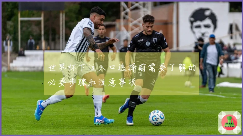世界杯下注入口选择前需要了解的必要步骤和注意事项