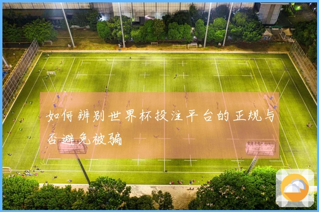 如何辨别世界杯投注平台的正规与否避免被骗