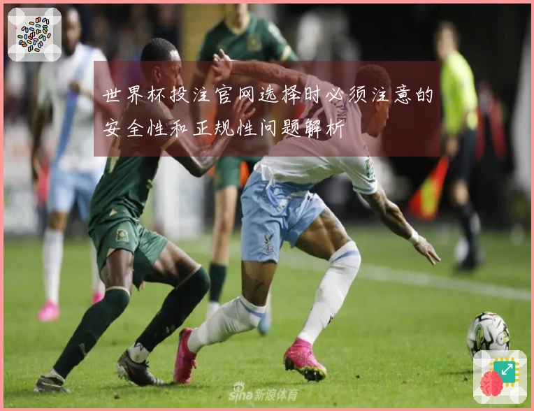 世界杯投注官网选择时必须注意的安全性和正规性问题解析