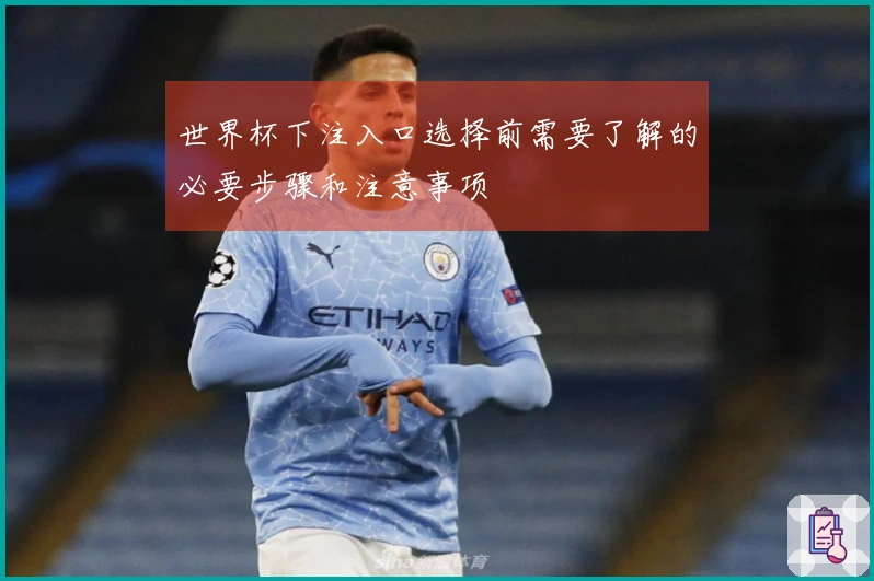世界杯下注入口选择前需要了解的必要步骤和注意事项